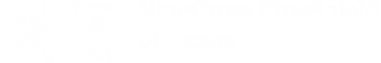 Blue Cross & Blue shield of Texas